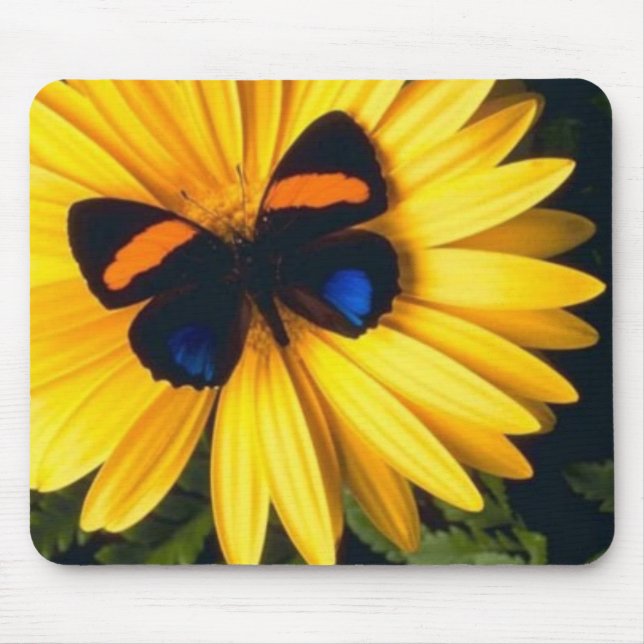 Butterfly on Yellow Daisy Mouse Mat (Front)