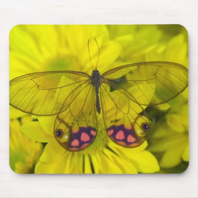 Butterfly on Yellow Flowers Mouse Mat (Front)