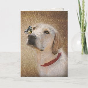butterfly on yellow Labrador retriever's nose Card