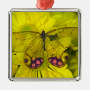 Butterfly on Yellow Metal Tree Decoration