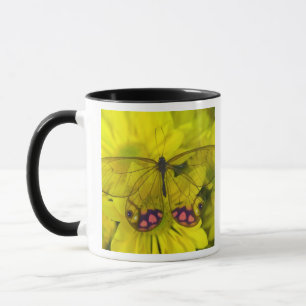 Butterfly on Yellow Mug
