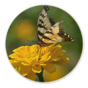 Butterfly On Zinnia Ceramic Knob