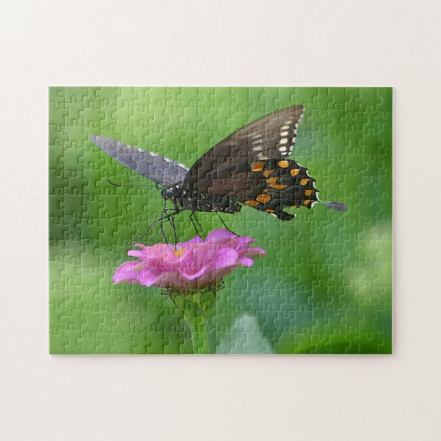Butterfly On Zinnia Puzzle (Horizontal)