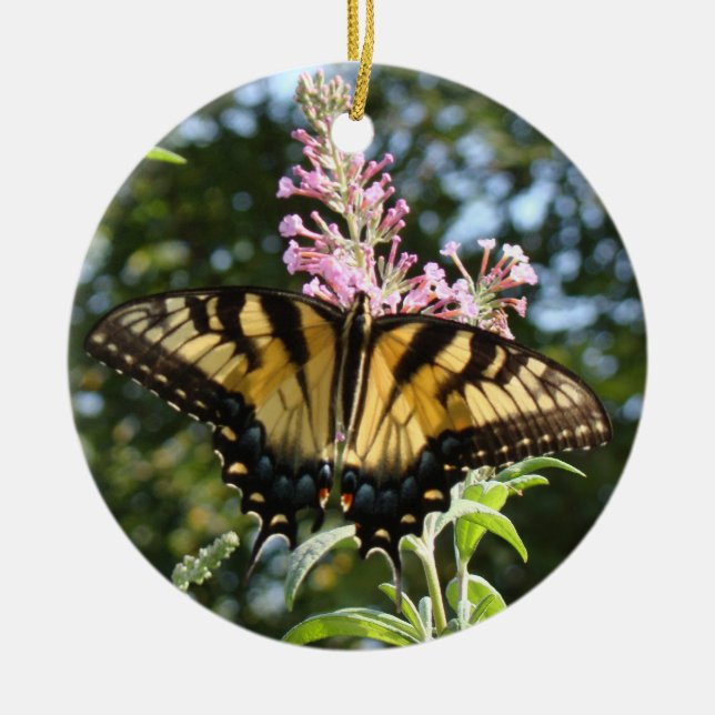 Butterfly Ornament (Front)