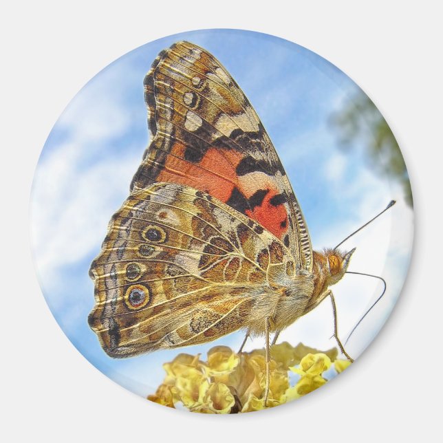 Butterfly Painted Lady Magnet (Front)