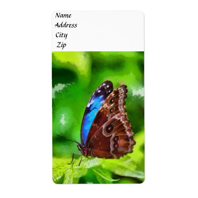 Butterfly painting (Front)