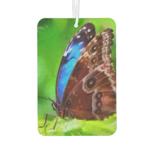 Butterfly painting car air freshener