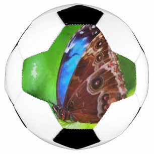 Butterfly painting football