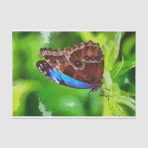 Butterfly painting tissue paper
