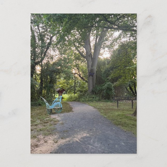 Butterfly Park 2 Postcard (Front)