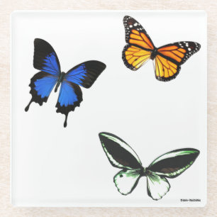 Butterfly Pattern Glass Coaster