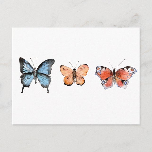 Butterfly Pattern Postcard (Front)
