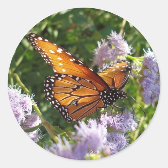 Butterfly Photo Monarch Purple Floral Nature Classic Round Sticker (Front)