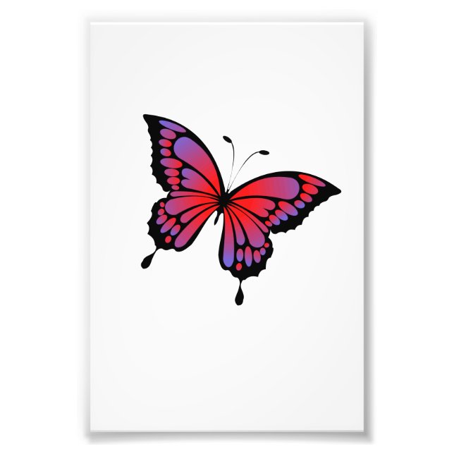 Butterfly Photo Print (Front)