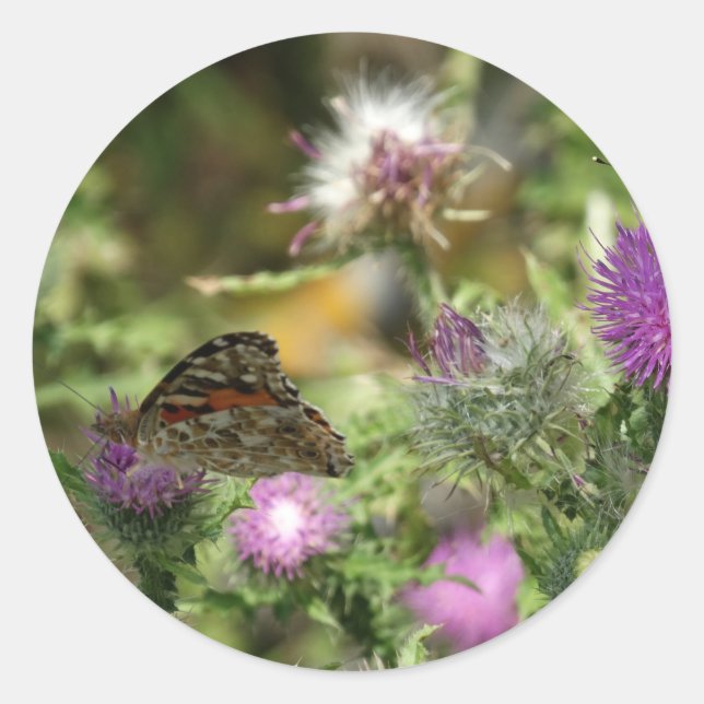 Butterfly Photo Round Sticker, Glossy Classic Round Sticker (Front)