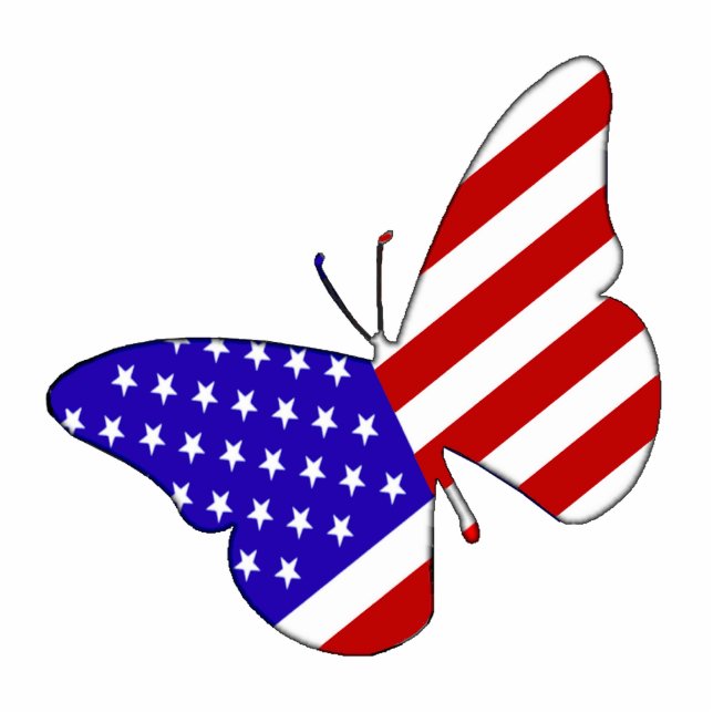 Butterfly Photo Sculpture (Front)