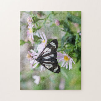 Butterfly Photograph Puzzle