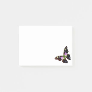 butterfly post-it notes