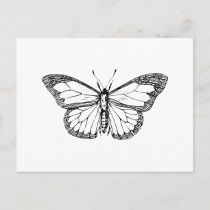 Butterfly Postcard