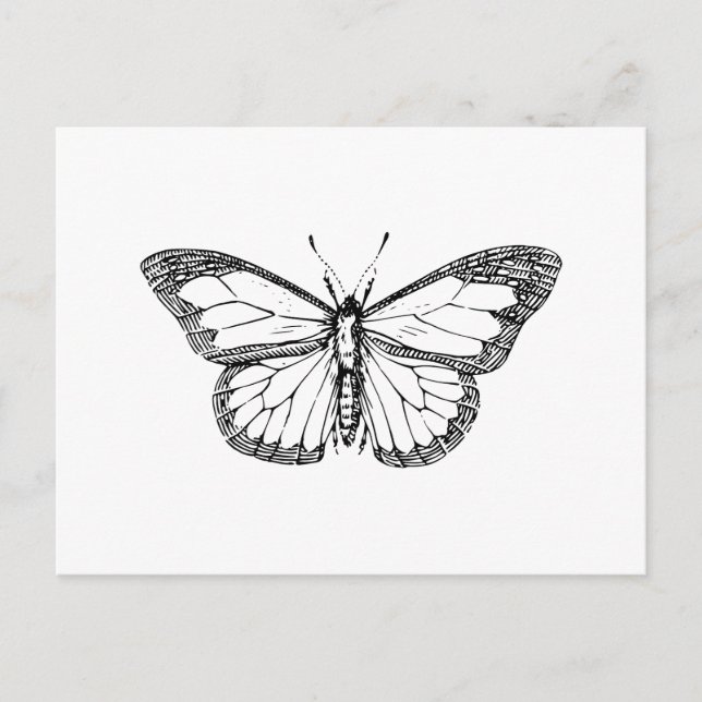 Butterfly Postcard (Front)