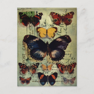 Butterfly Postcard