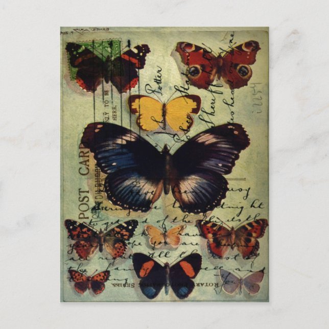Butterfly Postcard (Front)