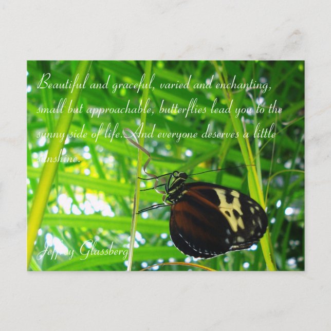 Butterfly Postcard / Quote (Front)