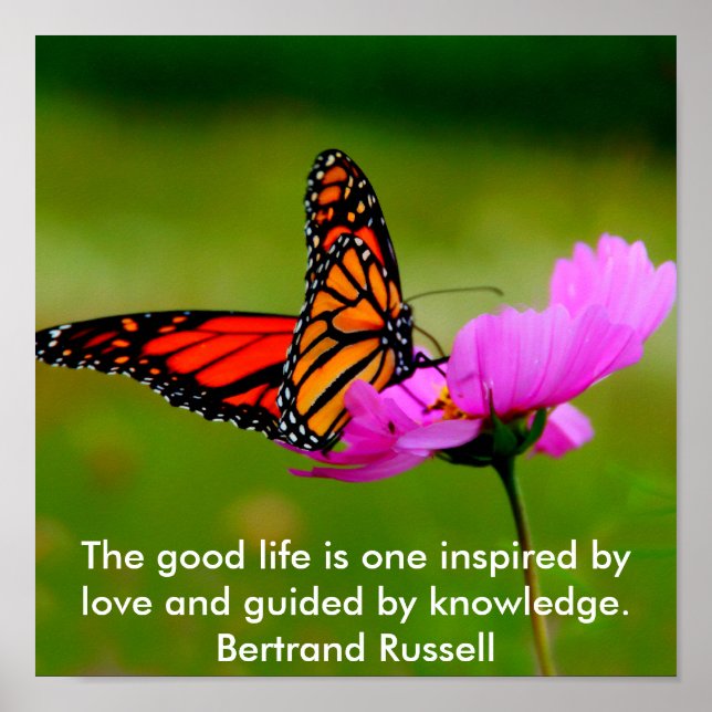 butterfly Poster (Front)