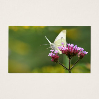 Butterfly profile card
