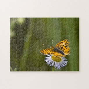 Butterfly Puzzle 1