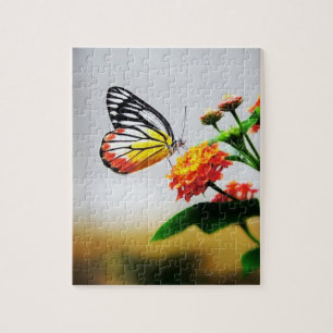 Butterfly - Puzzles