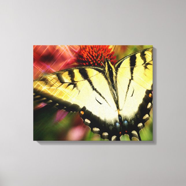 Butterfly Quad Canvas Wrap Print (Front)