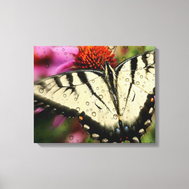 Butterfly Quad Canvas Wrap Print (Front)
