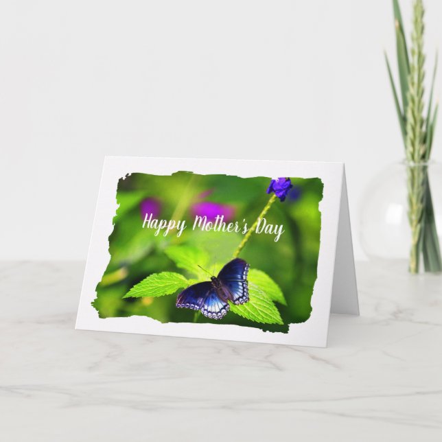 Butterfly (Red-spotted Purple) Mother's Day Card (Front)