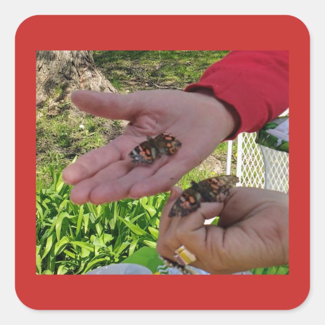 Butterfly Release Sticker (Front)