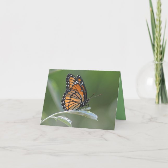 Butterfly Resting On A Leaf Thank You Card (Front)