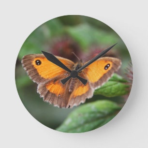 Butterfly Round Clock