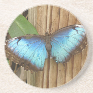 Butterfly Sandstone Coasters