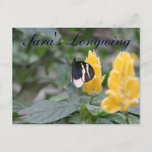 Butterfly Sara's Longwing # 1 Postcard