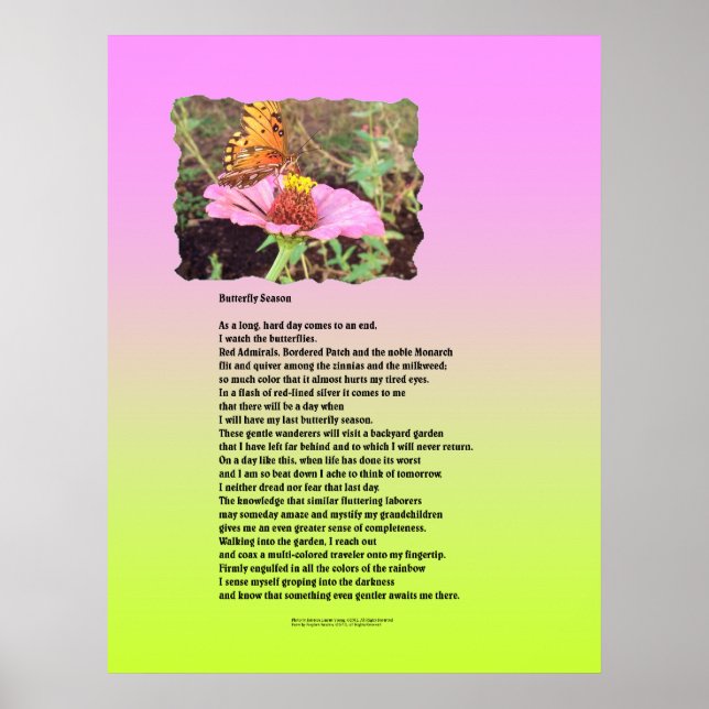 Butterfly Season Poster (Front)