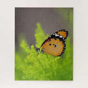 Butterfly series - African monarch butterfly Jigsaw Puzzle
