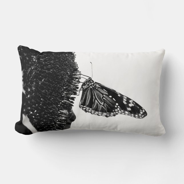 butterfly shy blacq lumbar cushion (Front)