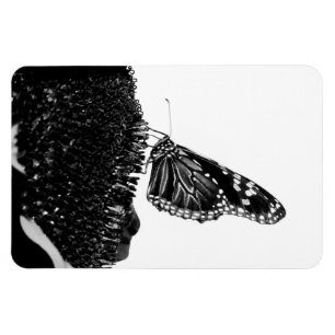 butterfly shy blacq magnet