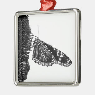 butterfly shy blacq metal tree decoration