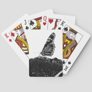 butterfly shy blacq playing cards