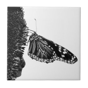 butterfly shy blacq tile