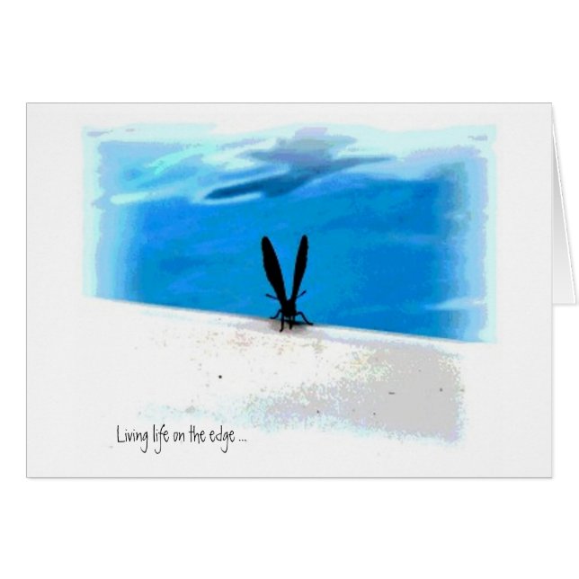 Butterfly Sillouette Graphics (Front Horizontal)