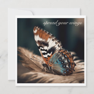 Butterfly sitting on a soft feather