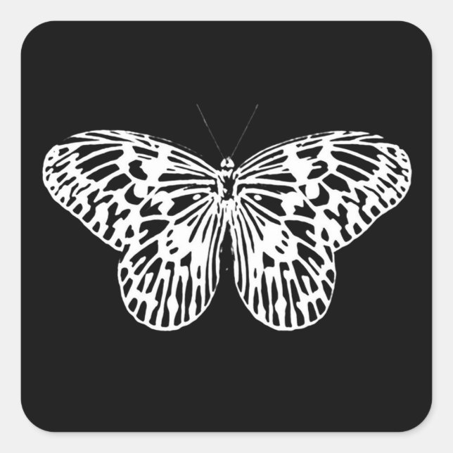 Butterfly sketch, white and black square sticker (Front)