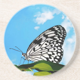Butterfly & Sky Coaster
